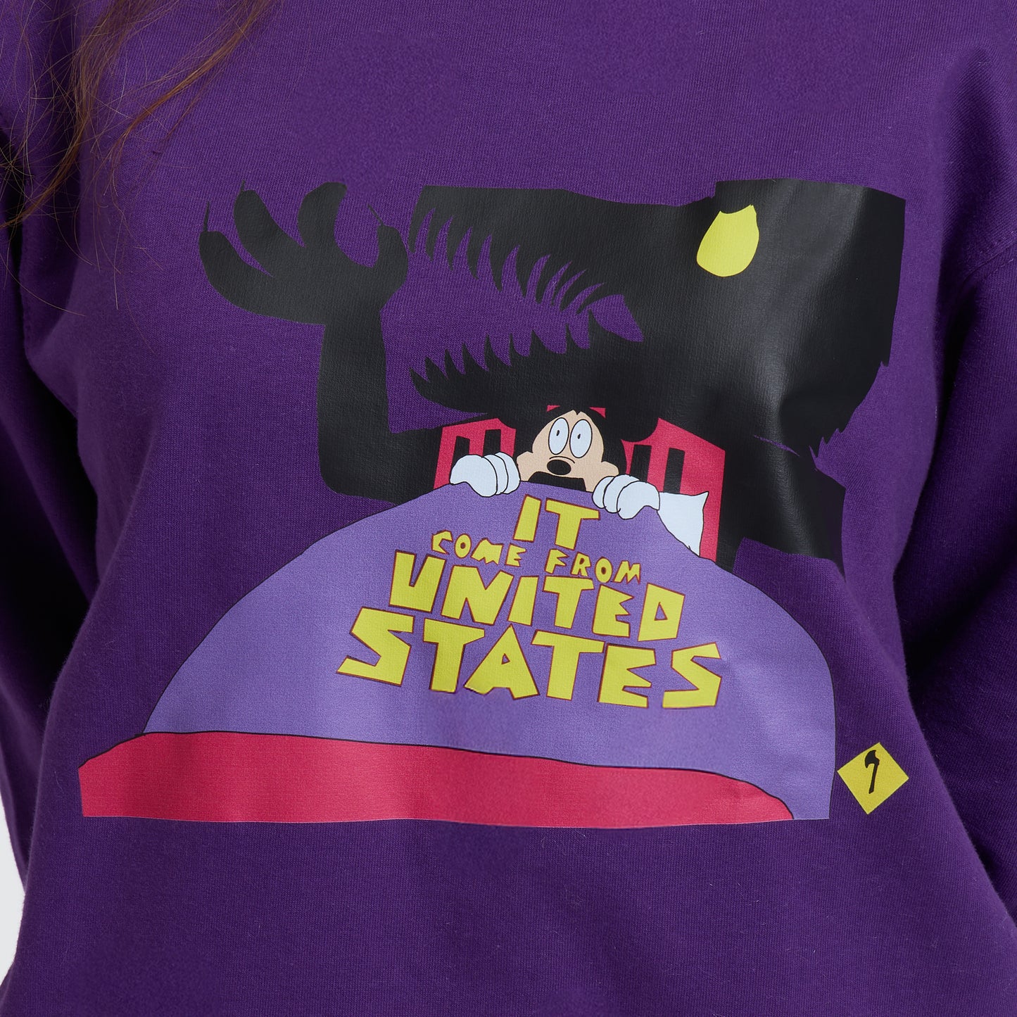 What is going on in USA - Micky mouse