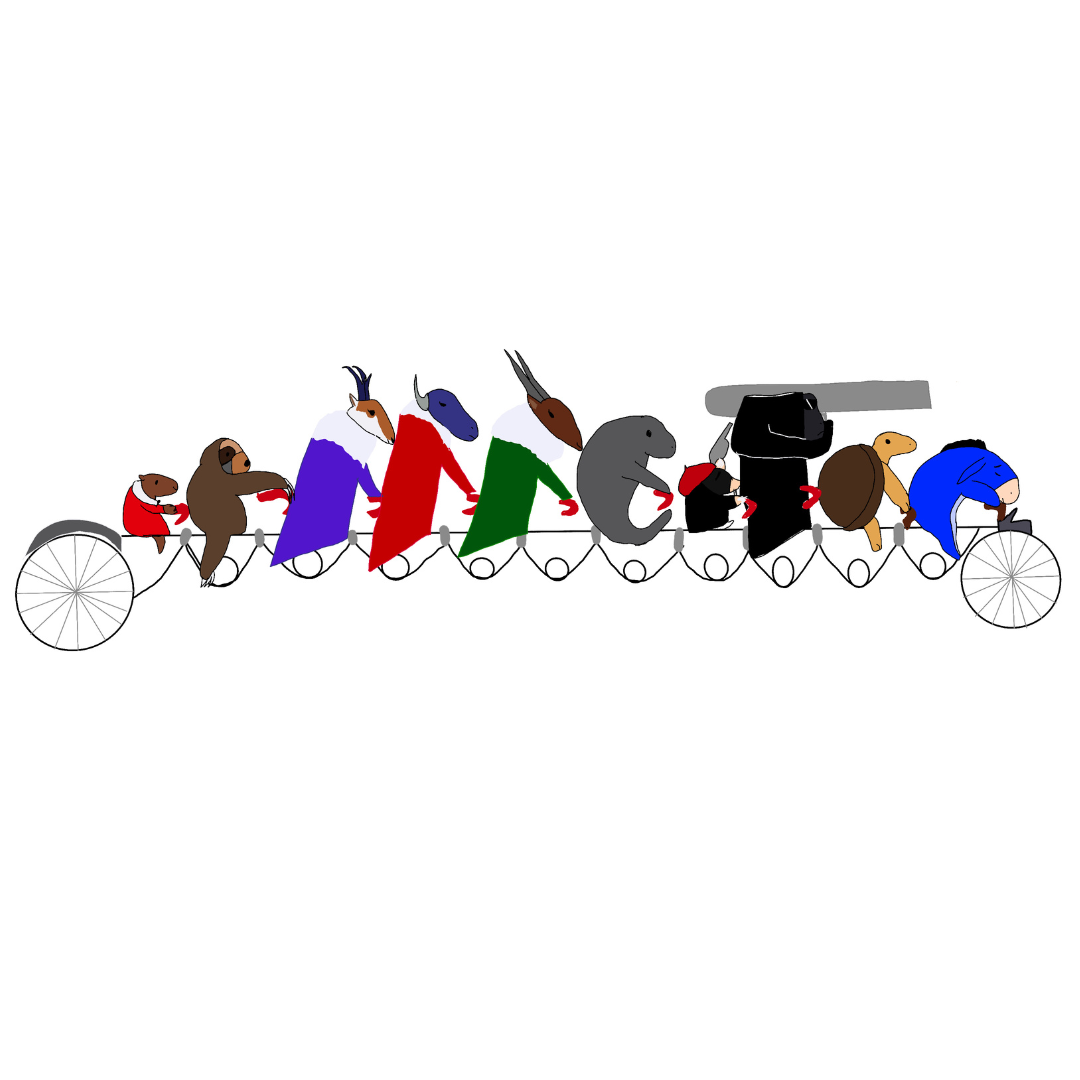 Belleville Rendezvous animal bicycle tshirt